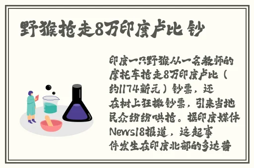 两人打扑克剧烈运动游戏